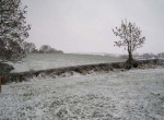 IMG_0123 (2)