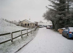 IMG_0129 (2)