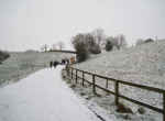 IMG_0130 (2)