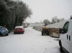 IMG_0135 (2)