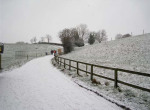 IMG_0102 (2)
