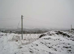 IMG_0009