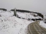 IMG_0029