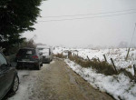 IMG_0065
