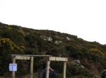 IMG_0037