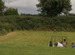 IMG_0116 (2)