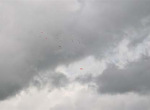 IMG_0161B