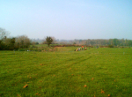 Image019