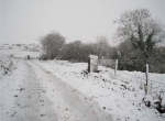 IMG_0007