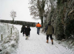 IMG_0111 (2)