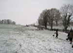IMG_0113 (2)