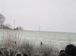 IMG_0115 (2)