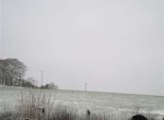 IMG_0116 (2)