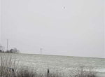 IMG_0117 (2)