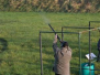 Sport Trap 13-12-09